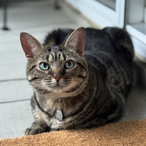 Fundraising Page: Megan Blackwell